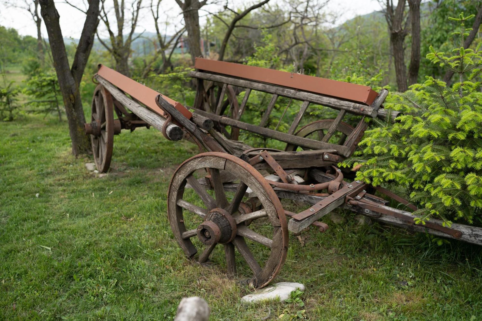 Barlogul Vikingilor Hotel Sotrile Bagian luar foto